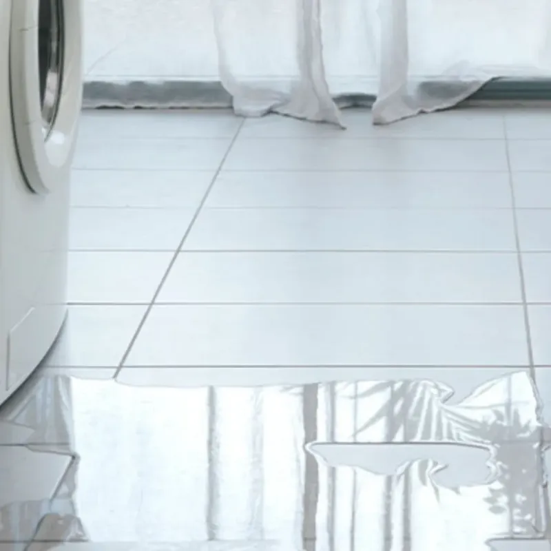Appliance Leak Cleanup in Marion County, IN