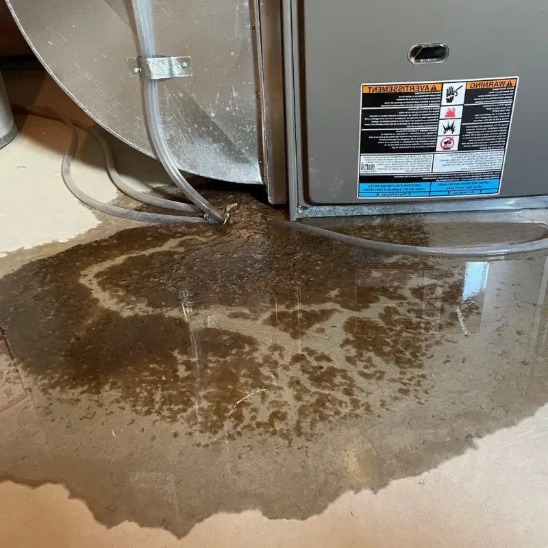 Pipe Burst and Leak Restoration in Marion County, IN