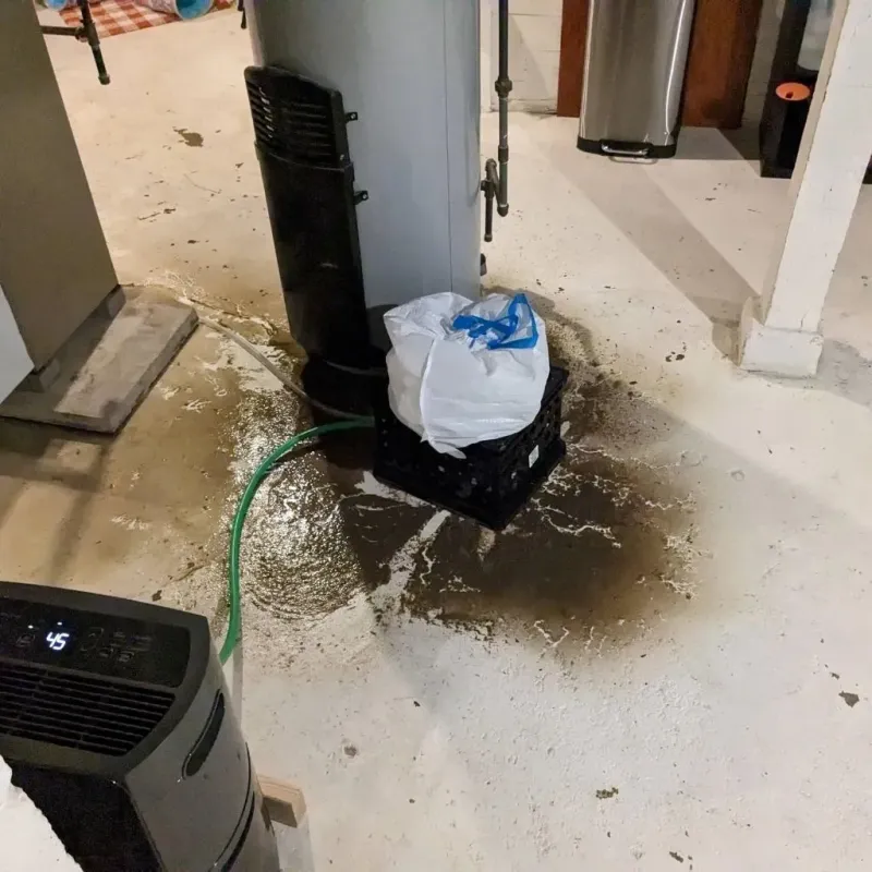 Sewage Backup Cleanup Service in Marion County, IN